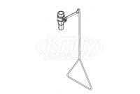 Bradley S19-130SS Corrosion-Resistant Stainless Steel Drench Shower