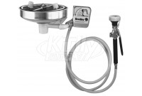 Bradley S19-220P Eye/Face Wash (with Drench Hose and Wall Bracket)