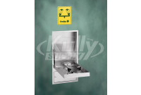 Bradley S19-292 Concealed Swing-Down Barrier-Free Cabinet-Mounted Eye/Face Wash