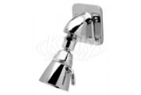 Zurn Z7000-i5 Institutional Wall Mount Shower Head 