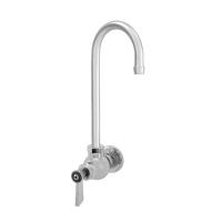 Single Hole Wall Mount W/ Rigid Gooseneck Spout